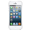 Apple iPhone 5 16Gb white - Заречный